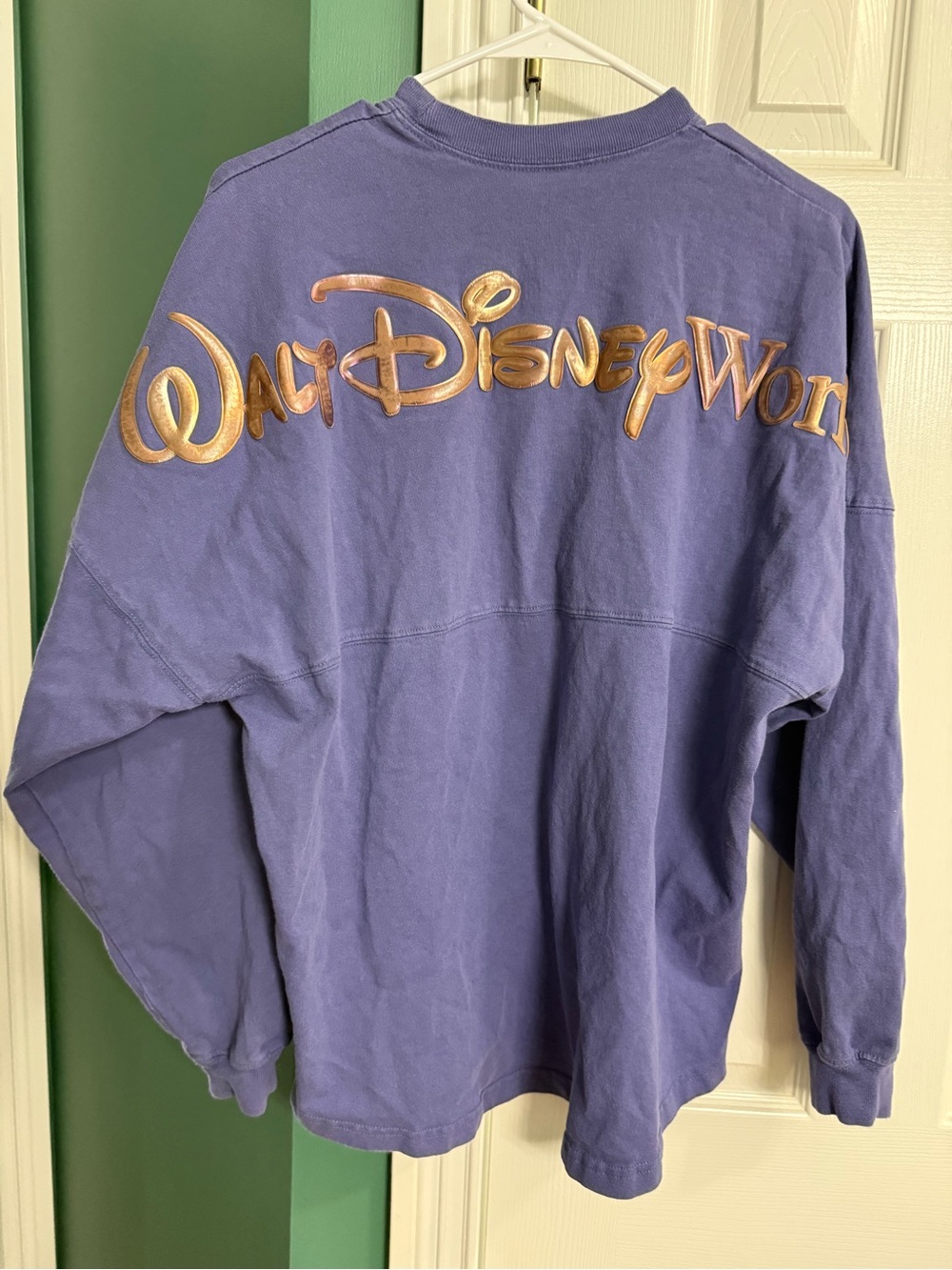 Disney World Spirit Jersey - Picture 2 of 4